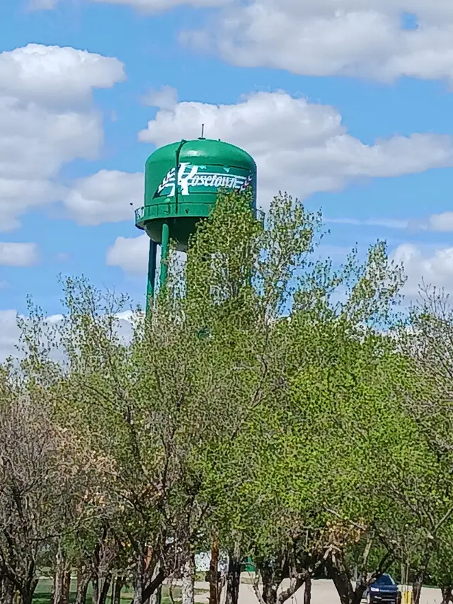 Rosetown water tower